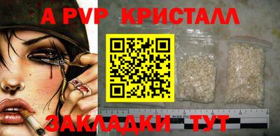 PSILOCYBIN Кингисепп