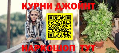 PSILOCYBIN Кингисепп