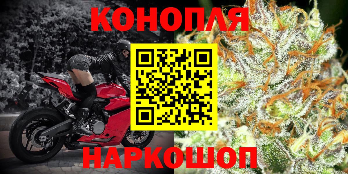 Конопля план Кингисепп